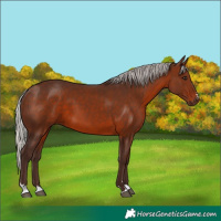 Horse Color:Silver Brown 