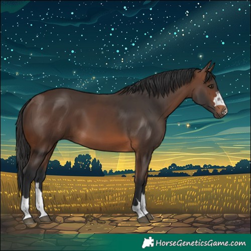 Horse Color:Brown 