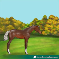 Horse Color:Silver Brown Varnish 