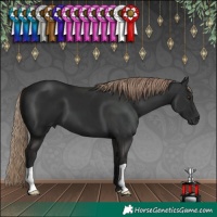 Horse Color:Liver Chestnut 