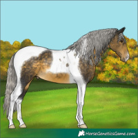 Horse Color:Silver Buckskin Tobiano 