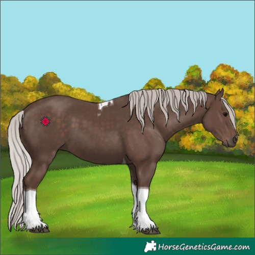 Horse Color:Silver Black Tobiano