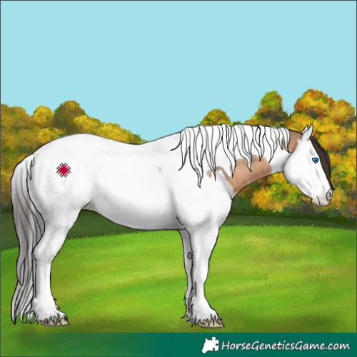 Horse Color:Brown Dun Splash Tobiano 