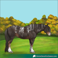 Horse Color:Powder White Liver Chestnut 