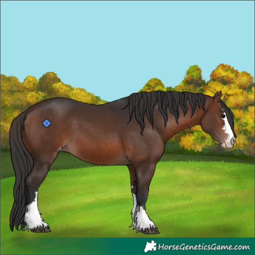 Horse Color:Brown Varnish 