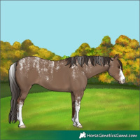 Horse Color:Powder White Liver Red Dun
