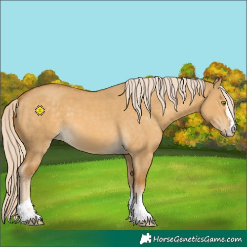 Horse Color:Palomino Dun