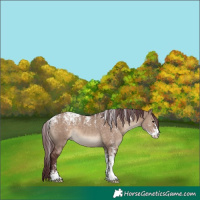 Horse Color:Powder White Chocolate Brown Dun