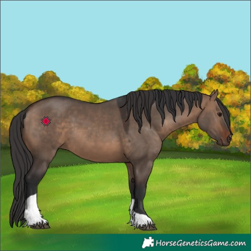 Horse Color:Brown Dun Tobiano