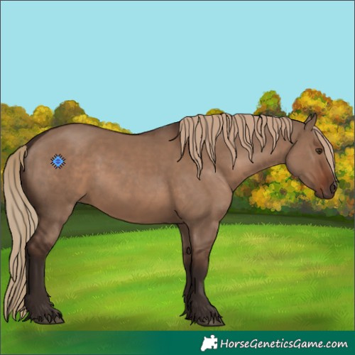 Horse Color:Liver Red Dun