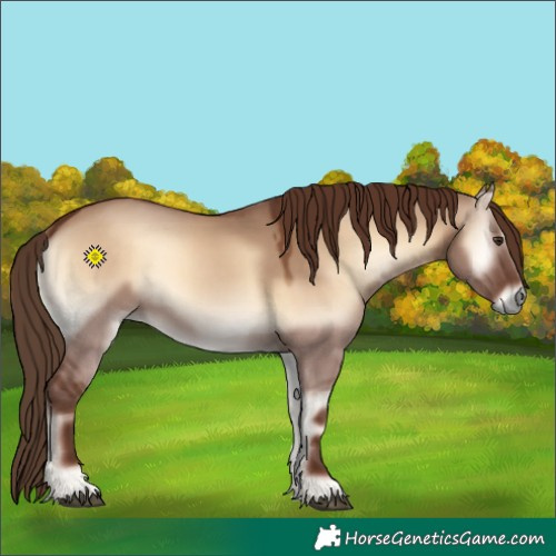 Horse Color:Red Dun Onyx