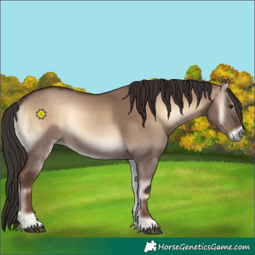 Horse Color:Liver Red Dun Onyx