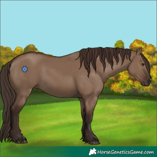 Horse Color:Liver Red Dun