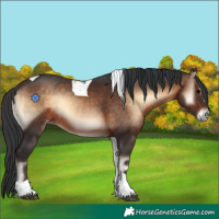 Horse Color:Brown Onyx Tobiano 