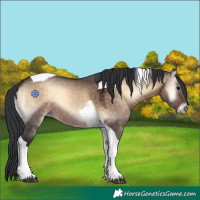Horse Color:Brown Onyx Tobiano