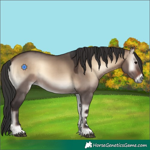 Horse Color:Brown Onyx