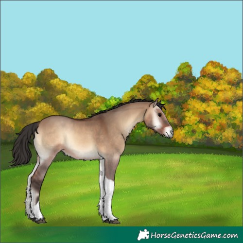 Horse Color:Brown Onyx Tobiano
