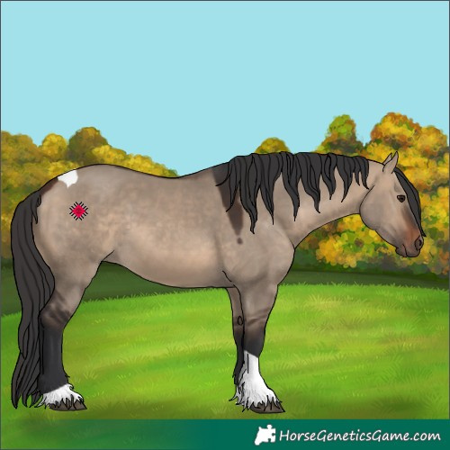 Horse Color:Brown Dun Tobiano 
