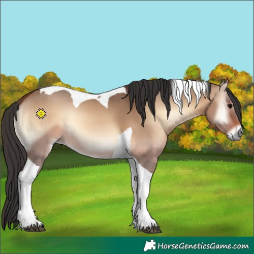 Horse Color:Brown Onyx Tobiano 