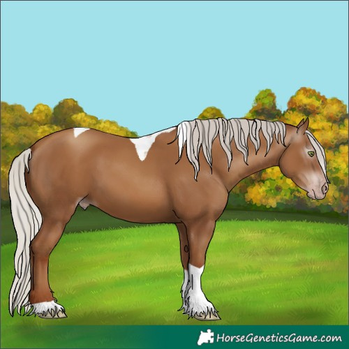 Horse Color:Gray Silver Classic Champagne Tobiano
