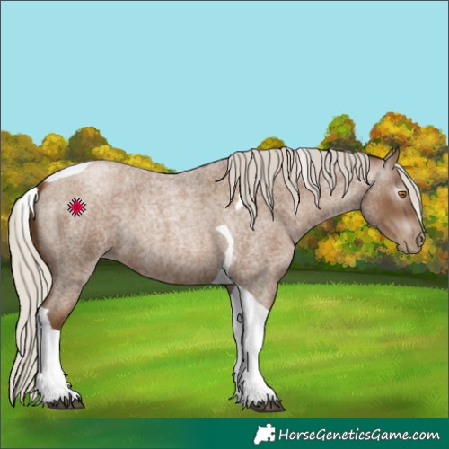 Horse Color:Gray Silver Blue Roan Pearl Tobiano 