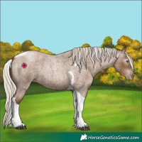 Horse Color:Gray Silver Blue Roan Pearl Tobiano 