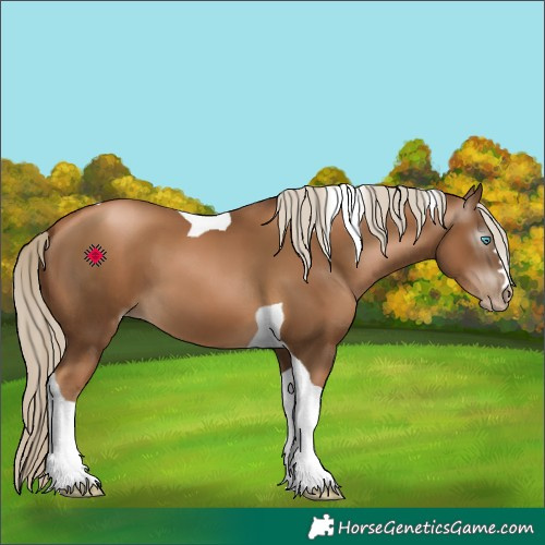 Horse Color:Gray Chocolate Palomino Pearl Tobiano