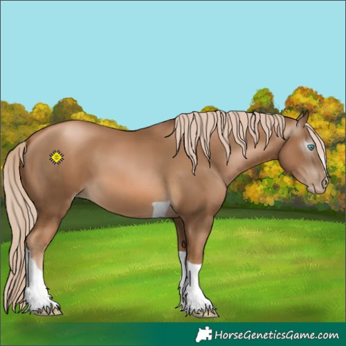 Horse Color:Gray Chocolate Palomino Pearl Tobiano 