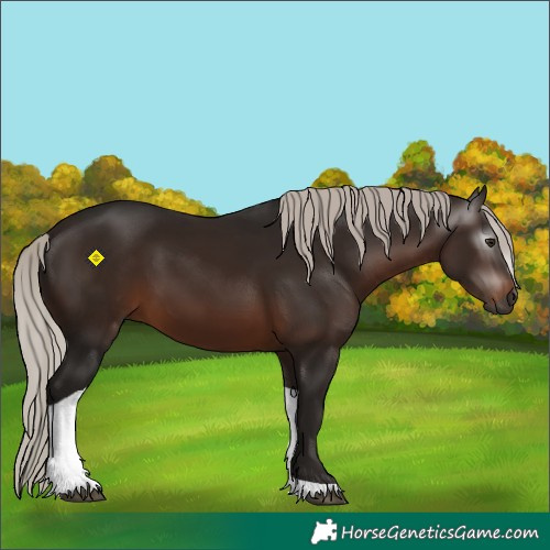 Horse Color:Gray Silver Brown Tobiano 