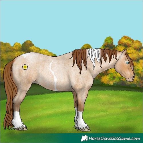 Horse Color:Gray Buckskin Roan Pearl Tobiano