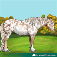Horse Color:Gray Palomino Pearl Near Leopard