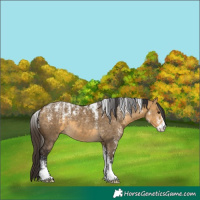 Horse Color:Powder White Buckskin Dun 