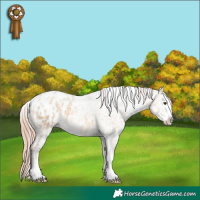 Horse Color:Powder White Red Dun Blanket