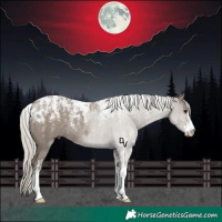 Horse Color:Powder White Silver Grullo Rabicano