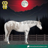 Horse Color:Powder White Silver Grullo Rabicano