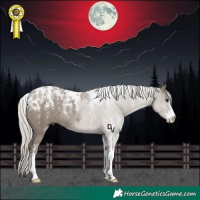 Horse Color:Powder White Silver Grullo Rabicano 