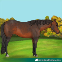 Horse Color:Brown 