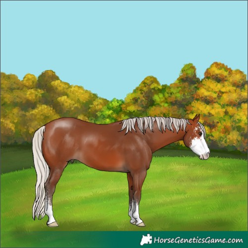 Horse Color:Silver Brown Sabino