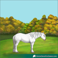 Horse Color:Brown Sabino Frame Varnish