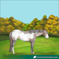Horse Color:Brown Frame Snowcap 
