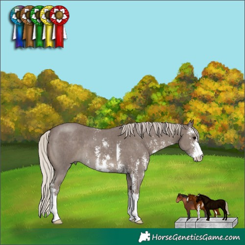 Horse Color:Silver Black Sabino 