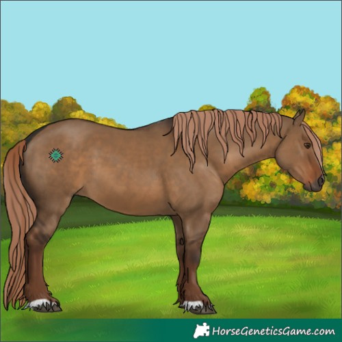 Horse Color:Gray Liver Red Dun 