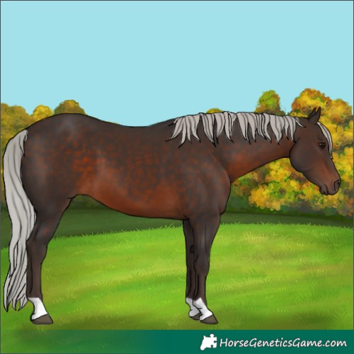 Horse Color:Silver Brown 