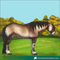 Horse Color:Liver Red Onyx Brindle 