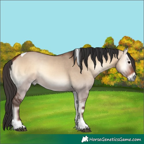 Horse Color:Bay Onyx Tobiano 
