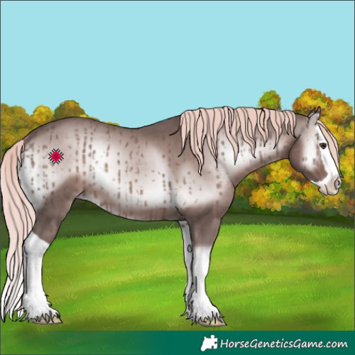 Horse Color:Platinum Red Onyx Splash