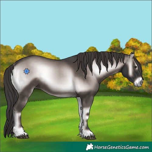 Horse Color:Platinum Liver Red Onyx 