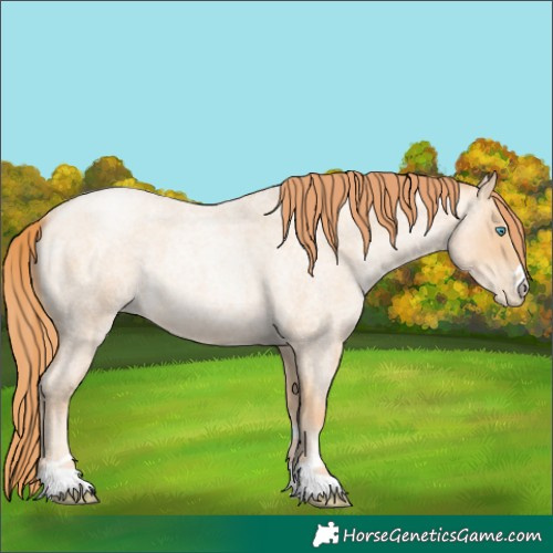 Horse Color:Amber Champagne Roan Pearl 