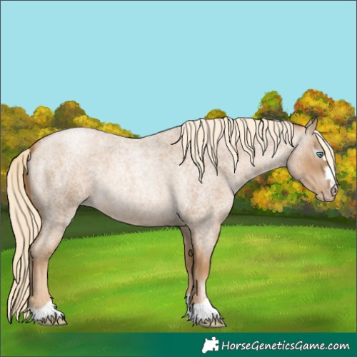 Horse Color:Gray Palomino Roan Pearl 