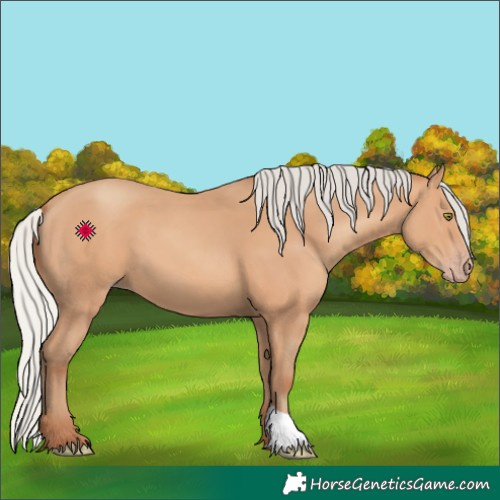 Horse Color:Silver Amber Champagne